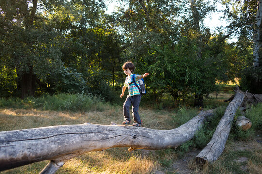 A boy with a backpack walks along the trunk of a fallen tree, a child learns to keep his balance