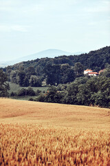 Fototapeta na wymiar Landscape of countryside village terrain in Serbia, Balkans, Europe.