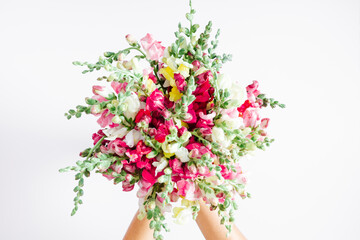 Beautiful flowers composition. Female hand holding colorful snapdragon flowers bouquet on white background. Celebration, festive floral concept. Flat lay, top view, copy space
