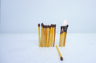 A row of wooden matches with some of the matches burned. Describe the transmission of viruses or...