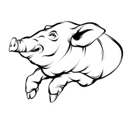 Vector hand drawn illustration of pig's head. Tattoo artwork. Template for card, poster, banner, print for t-shirt, pin, badge, patch.
