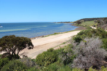 Fototapeta na wymiar littoral in kingscote - kangaroo island - australia