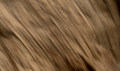 dry leaf texture background, nature
