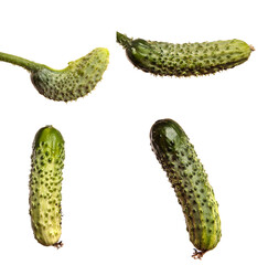 young green cucumbers on white background. set, collection