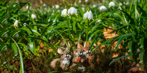 a soft flower blossom in a nature garden