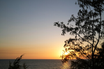 Fototapeta na wymiar Silhouette of tree against sunset over the ocean