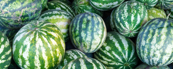 Panorama of sweet watermelons in big basket from above