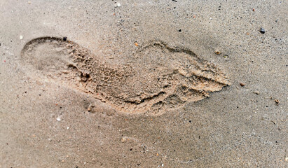 closeup man's footprint on wet beach sand