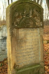 Cmentarz żydowski w Jarosławiu, Krzyże, Groby, Cmentarz, Las, Nagrobki,