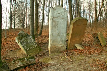 Cmentarz żydowski w Jarosławiu, Krzyże, Groby, Cmentarz, Las, Nagrobki, - obrazy, fototapety, plakaty