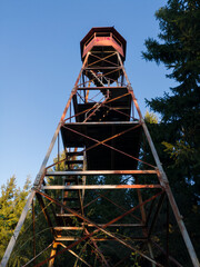 Bottom view of an old metal watchtower at the edge of a coniferous forest in Koraza National Park.