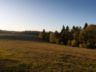 Obraz premium Field next to the forest against the blue sky during sunset.