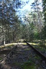 stillgelegte und zugewachsene Bahnstrecke im Wald