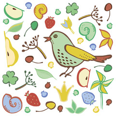 A set of elements on the theme of nature. Bird, fruits, berries, twigs.