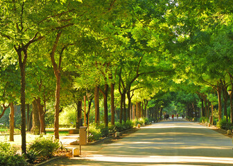 Obraz premium Parque de María Luisa en primavera Sevilla, Andalucía, España