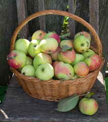 apples in a basket
