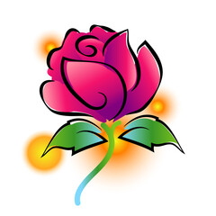 Pink rose painting on white background