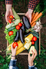 Man's hands and women holding vegetables in the background wooden crate full of vegetables from...