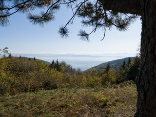 Scenic view from the mountain Kozara on the fog-filled valley during a sunny day.