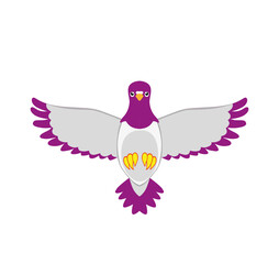 pigeon, vector illustration
