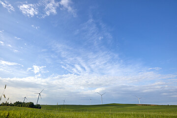 Fototapeta na wymiar Wind turbine on the green grass over the blue clouded sky. Protection of nature. Wind turbine - renewable energy source.