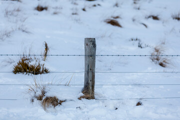 A single fence post with both barbed wire and regular fence wire sits surrounded by snow.