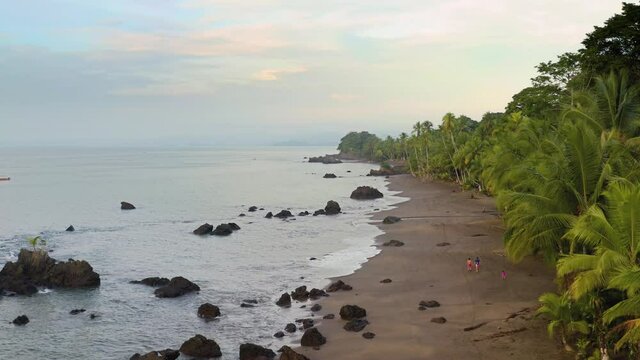 Sandy beach of the Pacific Ocean with palm trees in Choco, Colombia, near Nuqui, drone aerial view above the shore