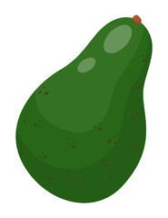 Isolated green avocado at white background. Natural organic alligator pear for salad, sandwiches or culinary. Healthy eating, keeping diet, vegeterian concept. Fresh eco product. Cartoon style