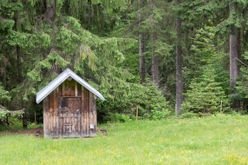 Kleine Hütte am Waldrand