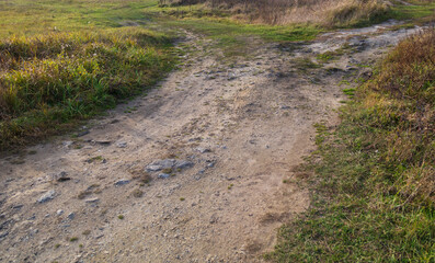 Dirt road in the field