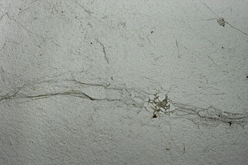 The webs of spiders were gathered together on the wall.
