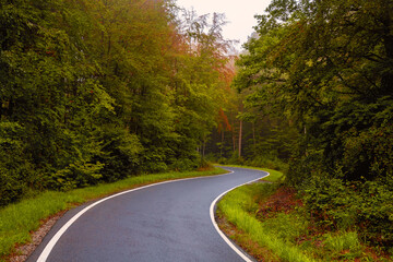 Autumn Road