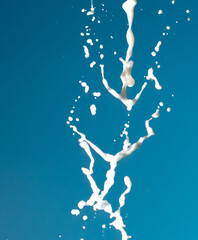 Splashes of white milk isolated on a blue background.