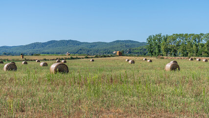 Obraz premium Field with circular straw bales in Girona, Catalonia, Spain.