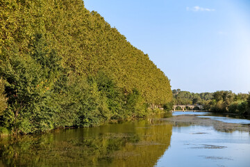 Fototapeta na wymiar Vidourle river with large wall of trees on the bank and medieval bridge in the background, commune of Sommières, department of Gard, France