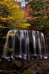 Fototapeta na wymiar 紅葉の中の滝