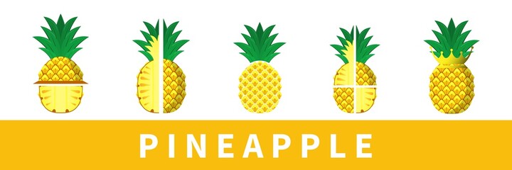 Set of Pineapple fruit Icon, symbol, logo, with different concept. Vector Design Illustration. 