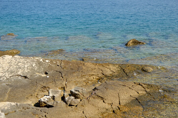 rocky seashore of adriatic sea in Rovinj, Croatia