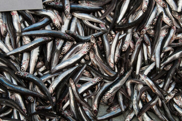 fresh anchovies at the market