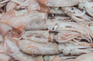 fresh squid on ice at the market