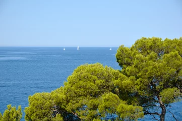 Fotobehang seascape in Rovinj, Croatia, with pine trees, calm blue sea and blue sky in the background © Jana