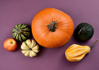 Different types of pumpkins and squash autumn still life top view stock images. Pile of pumpkins isolated on a brown background with copy space. Decorative pumpkins autumn still life frame stock photo