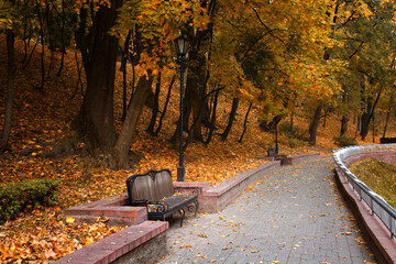 Autumn landscape in a city park. Gomel, Belarus