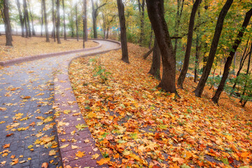 Autumn landscape in a city park. Gomel, Belarus