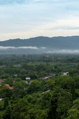 Fototapeta na wymiar Fog caused by the integrity of the forest after the rain. Nakhon Nayok, Thailand. The environment.
