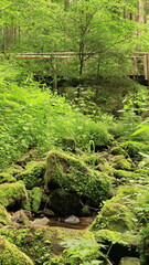 Die Lochbachklamm bei Wallenstein