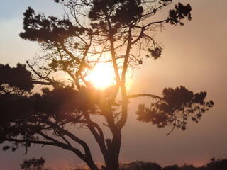 Sunset in the mountain