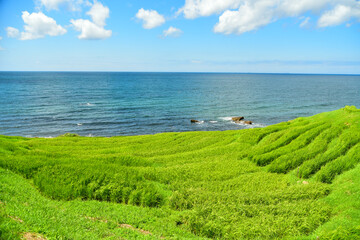 石川県能登半島にある白米千枚田の絶景　Superb view of rice terraces in Japan