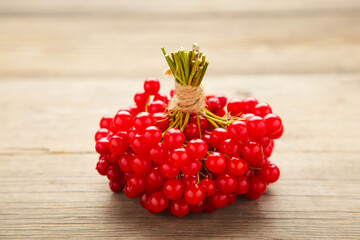 Red berries of viburnum on grey wooden background