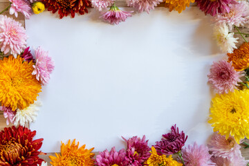Chrysantemum autumn bouquet copy space blanc paper colored colorful mock up